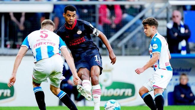 高的自律与 高的自律与