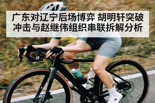 广东对辽宁后场博弈 胡明轩突破冲击与赵继伟组织串联拆解分析
